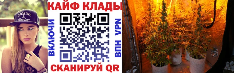 Где найти наркотики Озёры КОКАИН Псилоцибиновые грибы ГАШ МЕФ