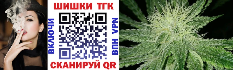 ГАШ Озёры