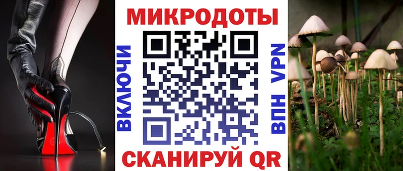 Галлюциногенные грибы мухоморы  Озёры 